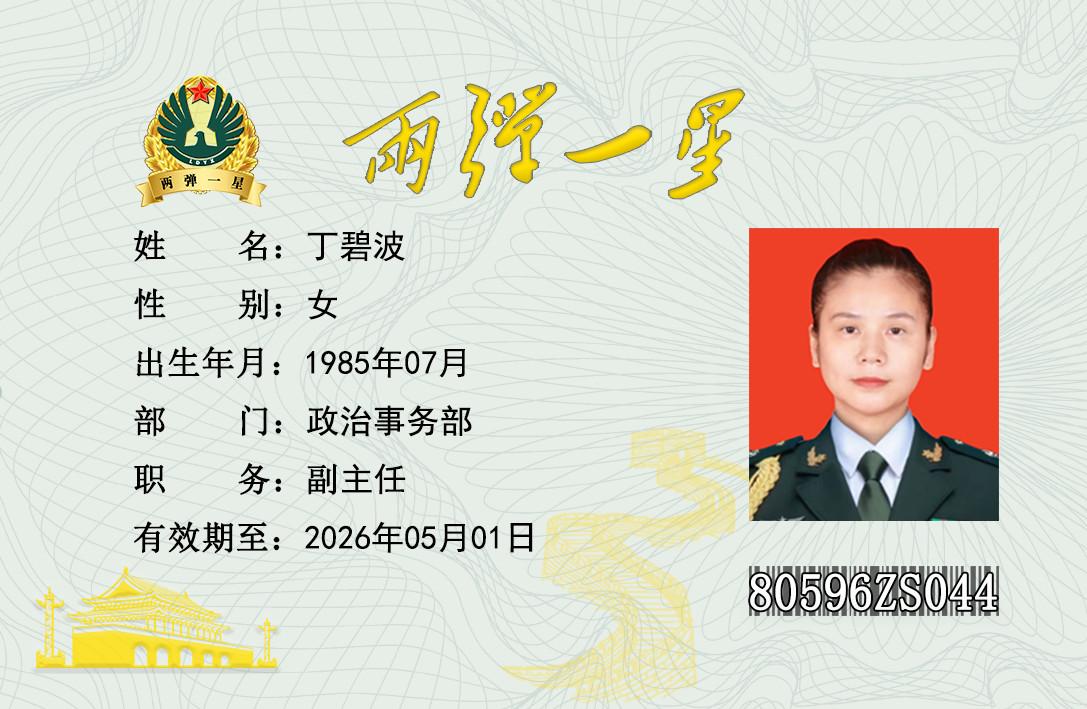 丁碧波