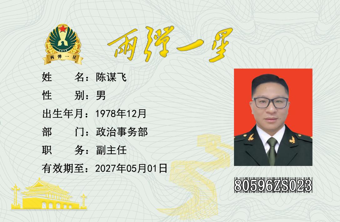 陈谋飞